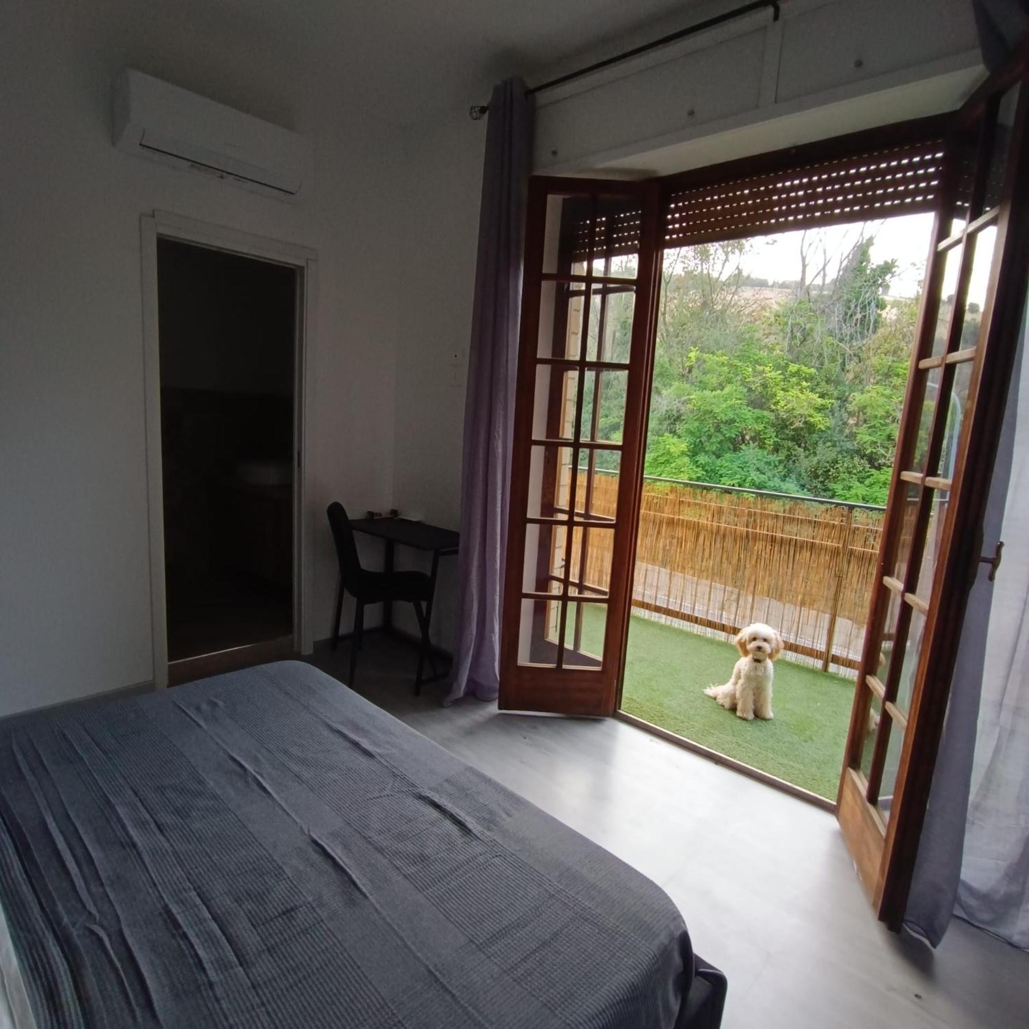 B&B Ginevra Porto San Giorgio Exteriér fotografie